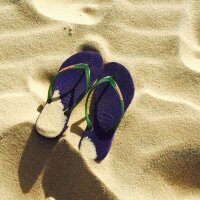 Шлепки Задира (демо)